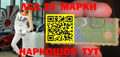 твердый Бердск