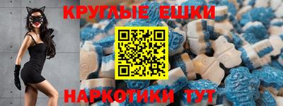 твердый Бердск