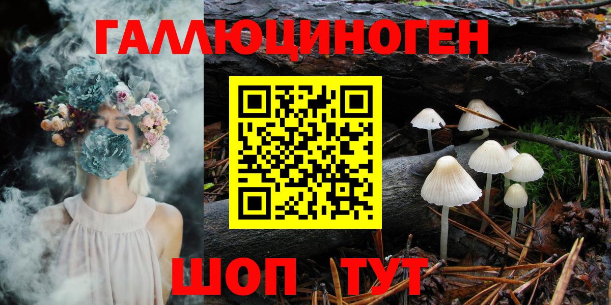 Гуково  Псилоцибиновые грибы мухоморы  Вход с VPN  Псилоцибиновые грибы GOLDEN TEACHER 