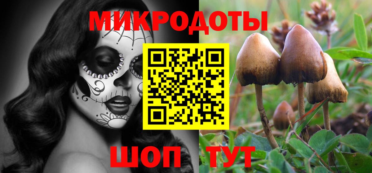 Галлюциногенные грибы Cubensis Гуково